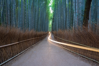 Sunrise in Arashiyama bamboo grove with a light trail