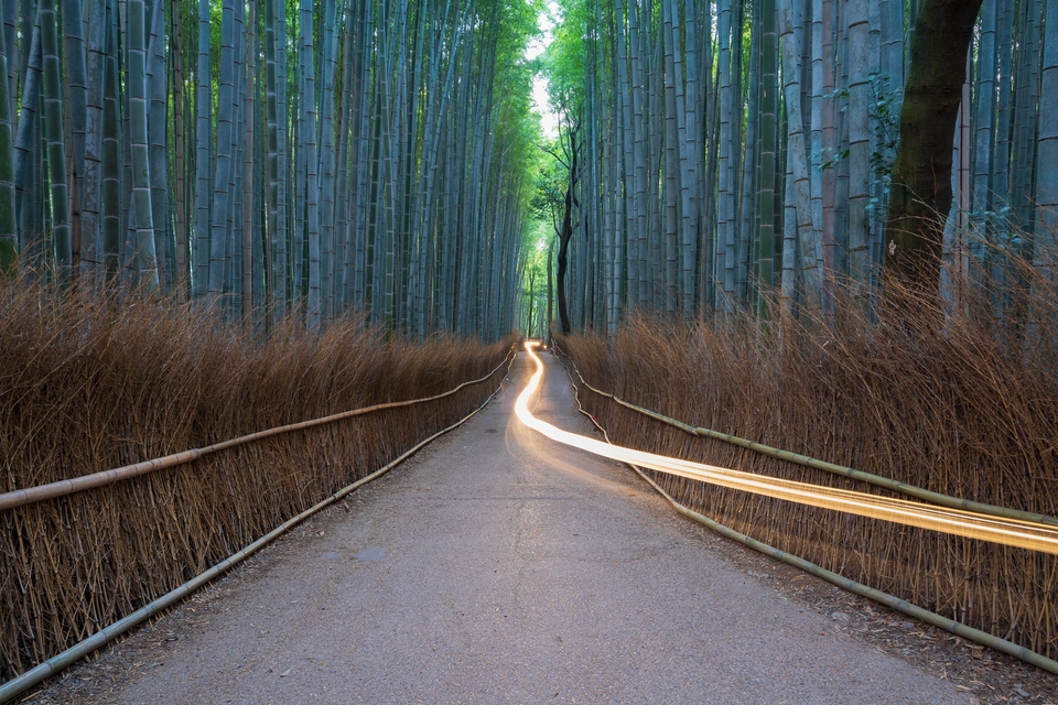 Sunrise in Arashiyama bamboo grove with a light trail